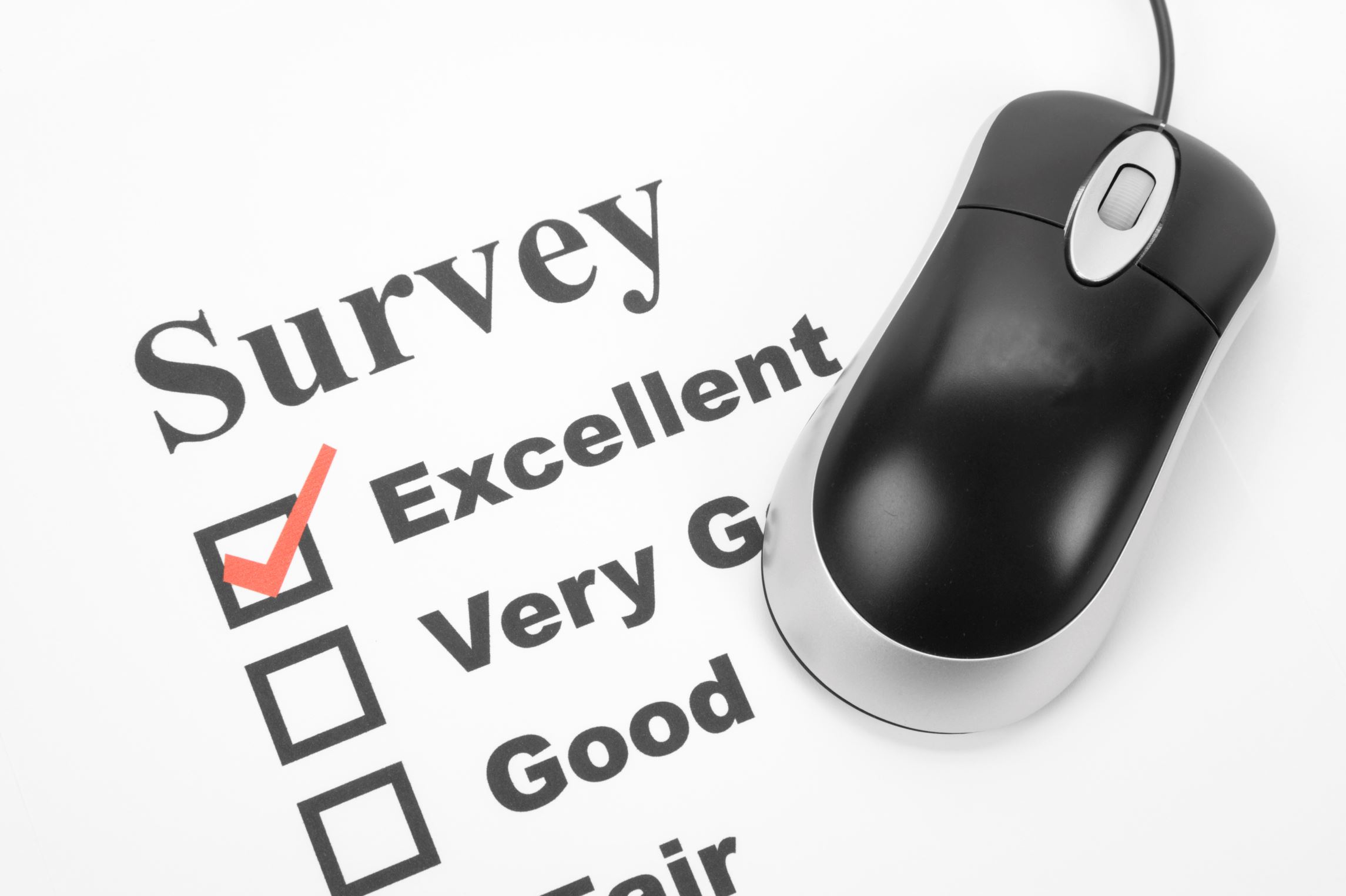 survey-pic